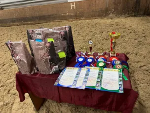 Прошёл Кубок ТОС «Горьковский» по выездке