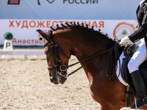 В Нижнем Новгороде с 12 по 14 марта