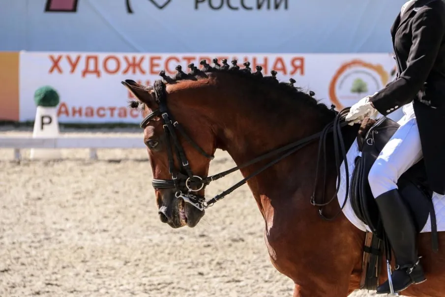 В Нижнем Новгороде с 12 по 14 марта