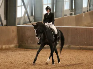 В минувшие выходные завершился Кубок Нижегородской области по выездке