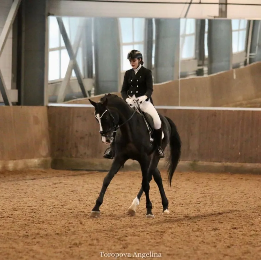 В минувшие выходные завершился Кубок Нижегородской области по выездке