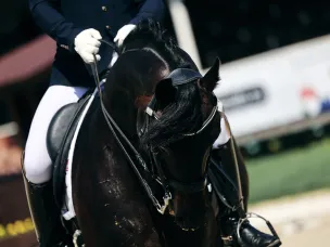 КОМАНДНЫЙ ЧЕМПИОНАТ РОССИИ ПО ВЫЕЗДКЕ