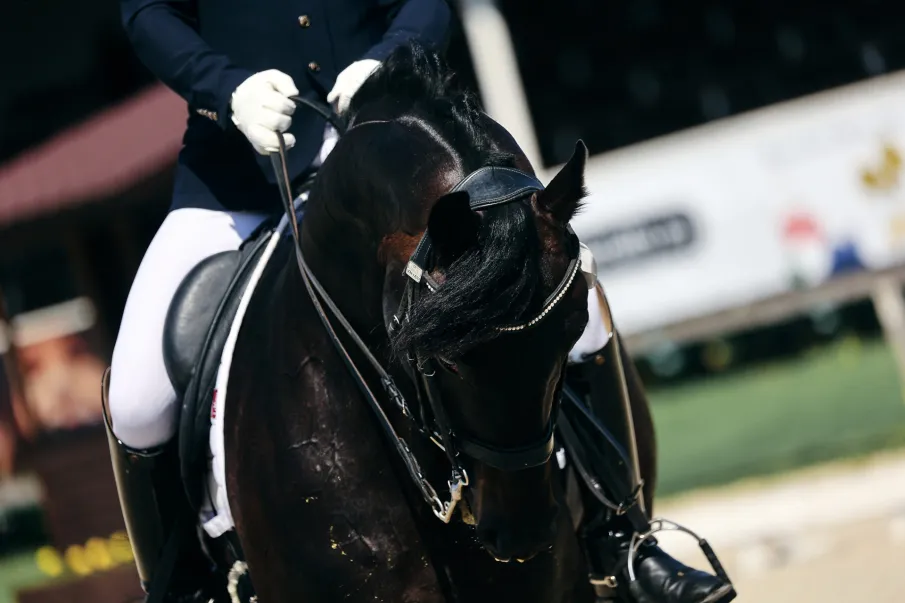 КОМАНДНЫЙ ЧЕМПИОНАТ РОССИИ ПО ВЫЕЗДКЕ